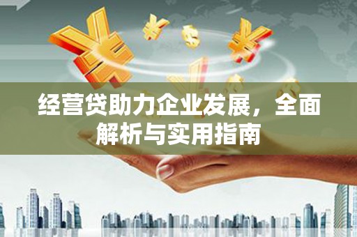 漳县经营贷助力企业发展，全面解析与实用指南