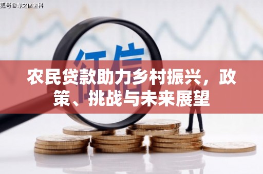 漳县农民贷款助力乡村振兴，政策、挑战与未来展望