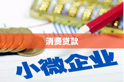 漳县消费贷款