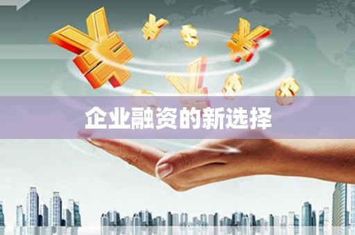 漳县企业融资的新选择