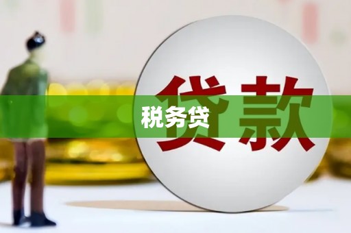 漳县税务贷