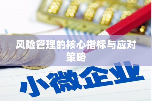 漳县风险管理的核心指标与应对策略