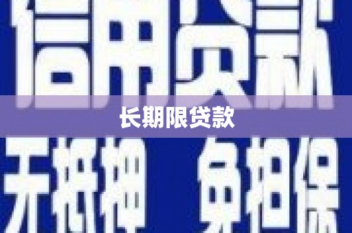 漳县长期限贷款