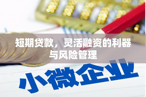 漳县短期贷款，灵活融资的利器与风险管理