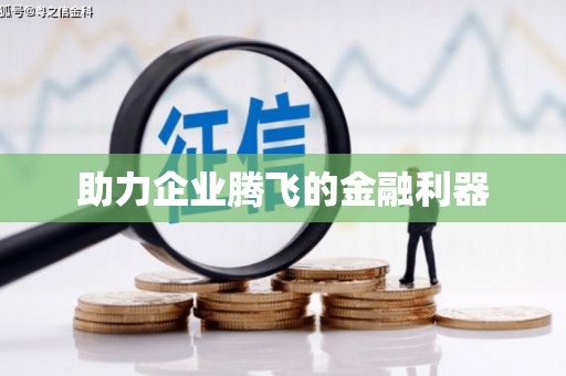 漳县助力企业腾飞的金融利器