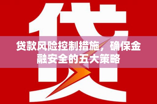 漳县贷款风险控制措施，确保金融安全的五大策略
