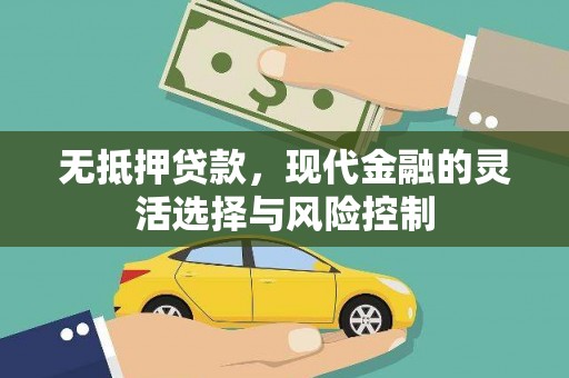 漳县无抵押贷款，现代金融的灵活选择与风险控制