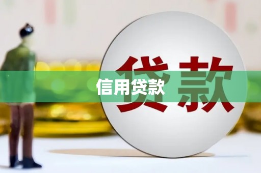 漳县信用贷款