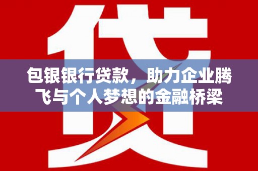 漳县包银银行贷款，助力企业腾飞与个人梦想的金融桥梁
