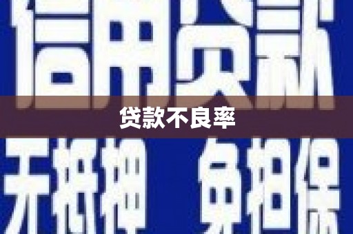 漳县贷款不良率