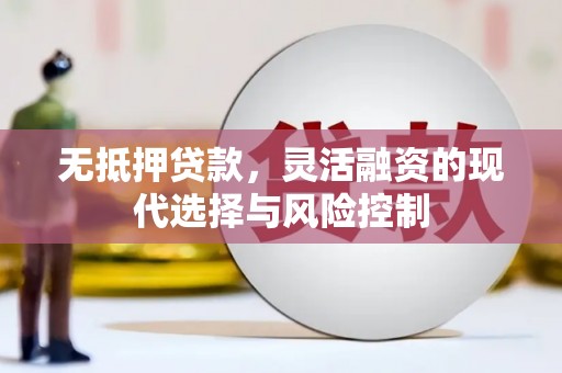 漳县无抵押贷款，灵活融资的现代选择与风险控制