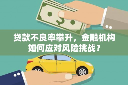 漳县贷款不良率攀升，金融机构如何应对风险挑战？