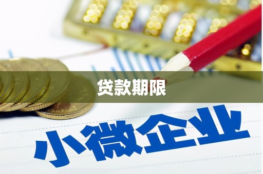 漳县贷款期限