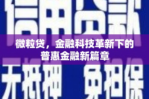 漳县微粒贷，金融科技革新下的普惠金融新篇章