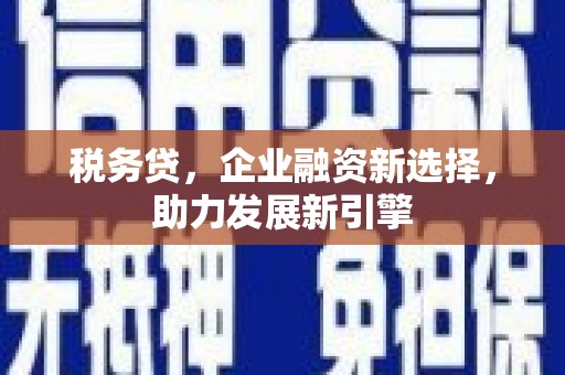 漳县税务贷，企业融资新选择，助力发展新引擎