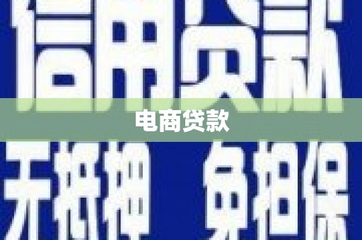 漳县电商贷款