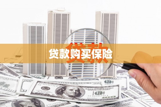 漳县贷款购买保险