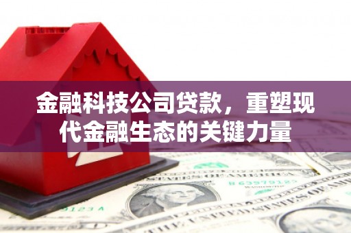 漳县金融科技公司贷款，重塑现代金融生态的关键力量