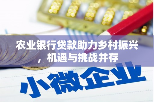 漳县农业银行贷款助力乡村振兴，机遇与挑战并存