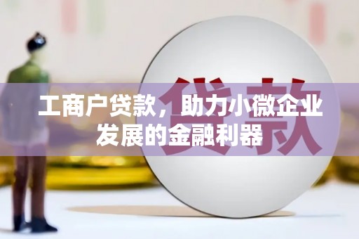 漳县工商户贷款，助力小微企业发展的金融利器
