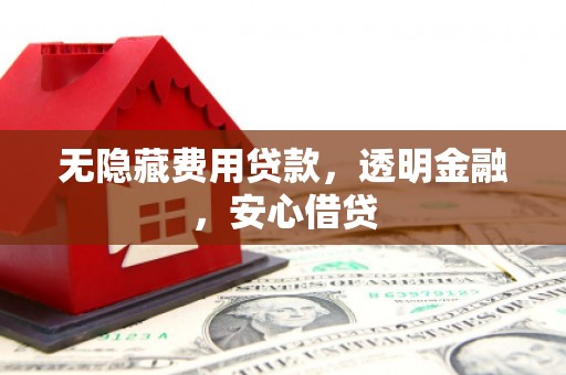 漳县无隐藏费用贷款，透明金融，安心借贷