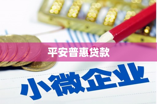 漳县平安普惠贷款