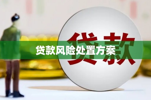 漳县贷款风险处置方案