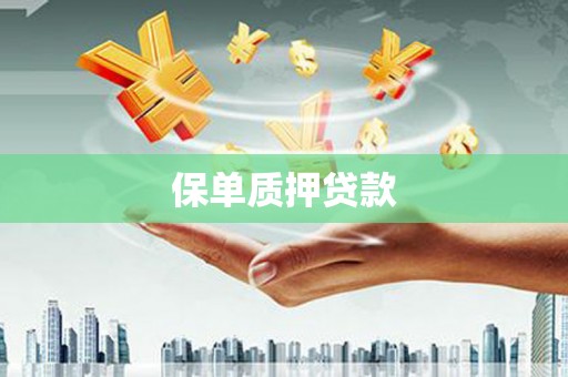 漳县保单质押贷款