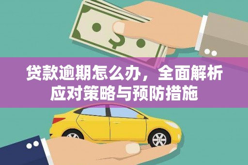 漳县贷款逾期怎么办，全面解析应对策略与预防措施