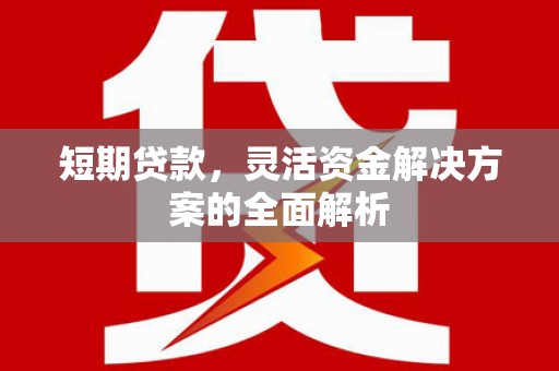 漳县短期贷款，灵活资金解决方案的全面解析