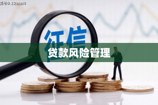漳县贷款风险管理