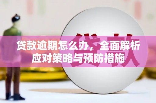 漳县贷款逾期怎么办，全面解析应对策略与预防措施