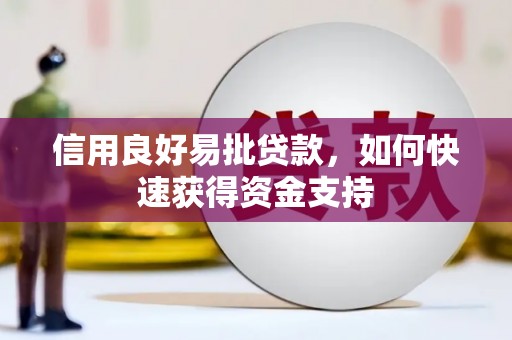 漳县信用良好易批贷款，如何快速获得资金支持