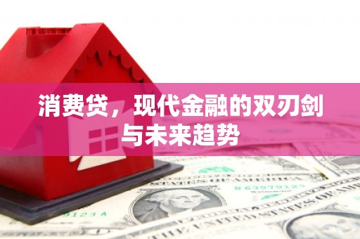 漳县消费贷，现代金融的双刃剑与未来趋势