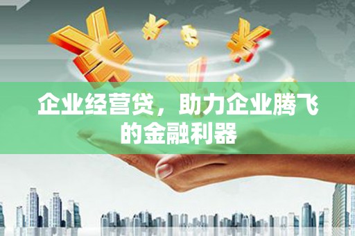 漳县企业经营贷，助力企业腾飞的金融利器