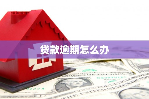 漳县贷款逾期怎么办