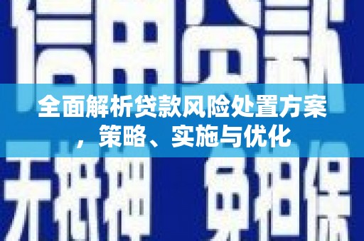 漳县全面解析贷款风险处置方案，策略、实施与优化