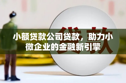 漳县小额贷款公司贷款，助力小微企业的金融新引擎