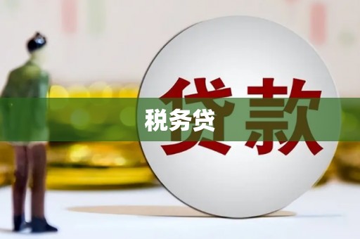 漳县税务贷