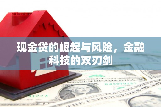 漳县现金贷的崛起与风险，金融科技的双刃剑