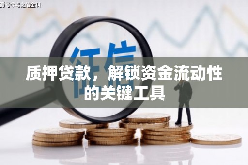 漳县质押贷款，解锁资金流动性的关键工具