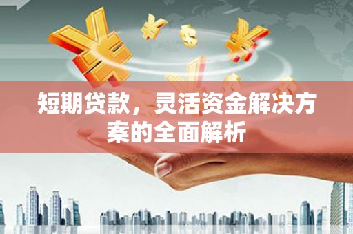 漳县短期贷款，灵活资金解决方案的全面解析