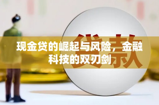 漳县现金贷的崛起与风险，金融科技的双刃剑
