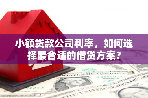漳县小额贷款公司利率，如何选择最合适的借贷方案？