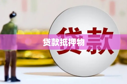 漳县贷款抵押物