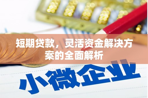 漳县短期贷款，灵活资金解决方案的全面解析