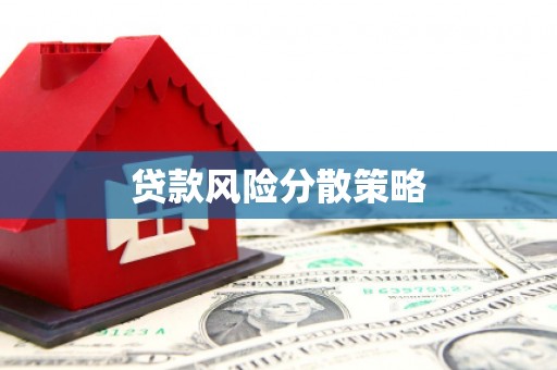 漳县贷款风险分散策略