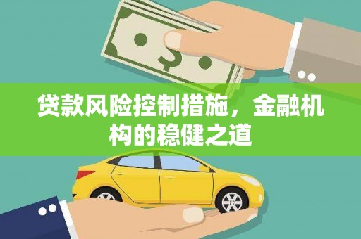 漳县贷款风险控制措施，金融机构的稳健之道