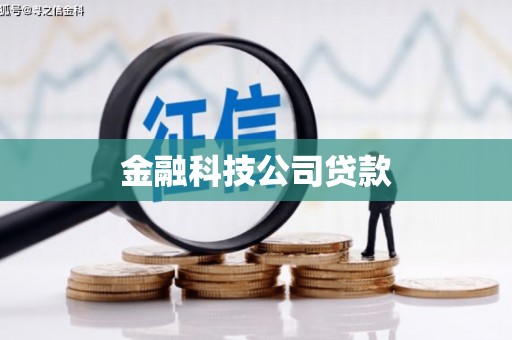 漳县金融科技公司贷款