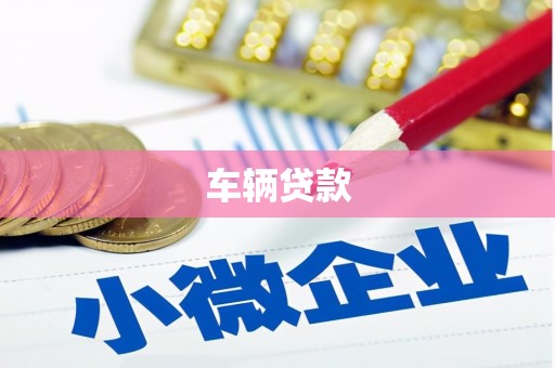 漳县车辆贷款
